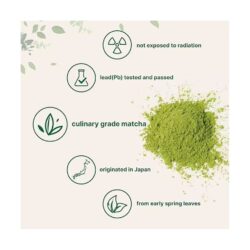 Organic Mushroom Extract Matcha Powder | Sunecoo Matcha