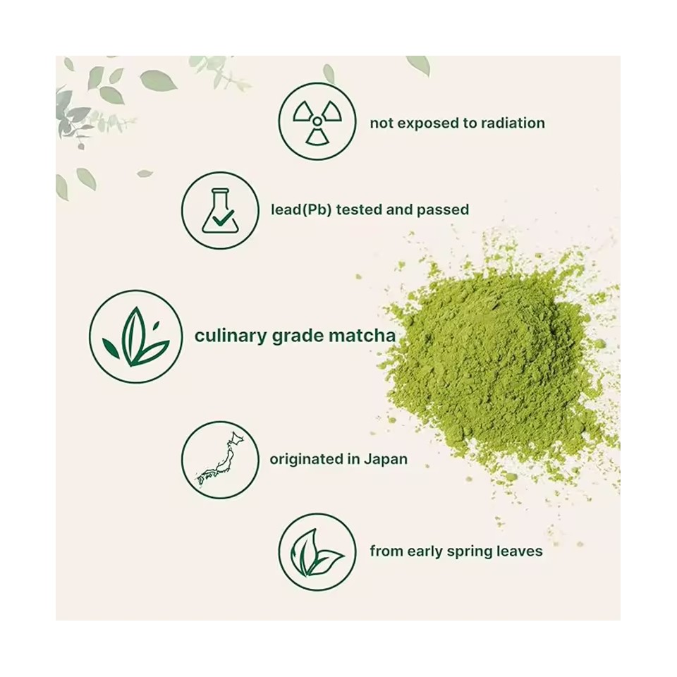 Organic Mushroom Extract Matcha Powder | Sunecoo Matcha